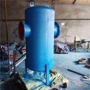 DN200 DN300旋風(fēng)式汽水分離器 沼氣處理用除水過濾器