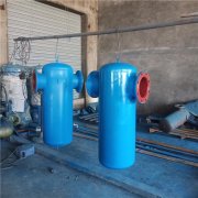 現(xiàn)貨廠家直銷 沼氣蒸汽除水用過濾器