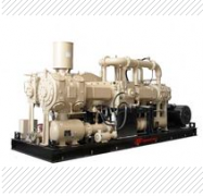 300941英德諾曼過(guò)濾器濾芯03.RL125.100G.16.