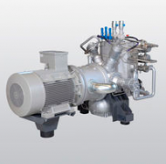 US.161.3VG.10.B英德諾曼internormen油站過濾器...