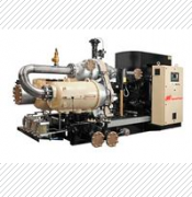 310882英德諾曼循環(huán)油過濾器替代濾芯01.E2001.10VG