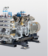 DNR.6205.25P.10.B英德諾曼液壓油可通斷的雙筒過濾器